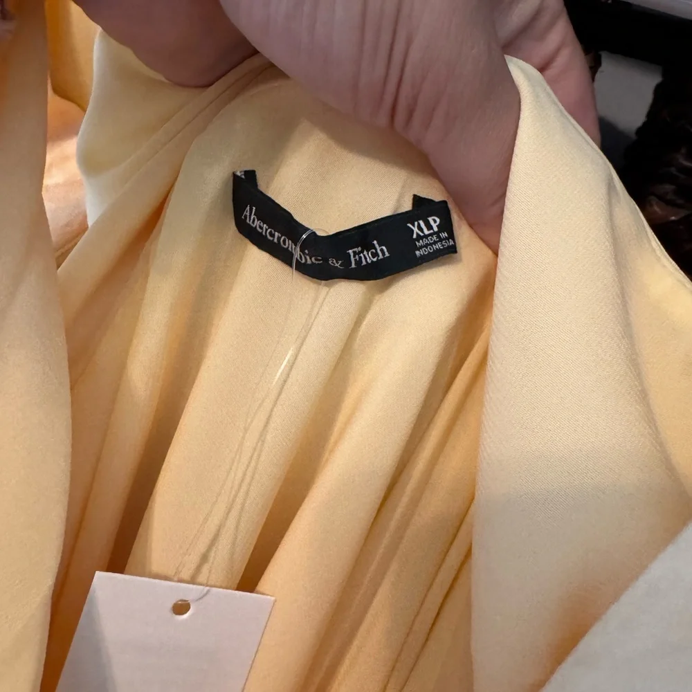 NWT A&F Dress